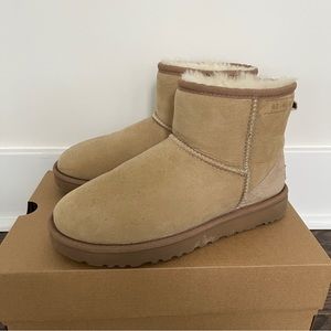 UGG CLASSIC MINI Boots Sand 40:40:40 BOOTS WOMEN'S